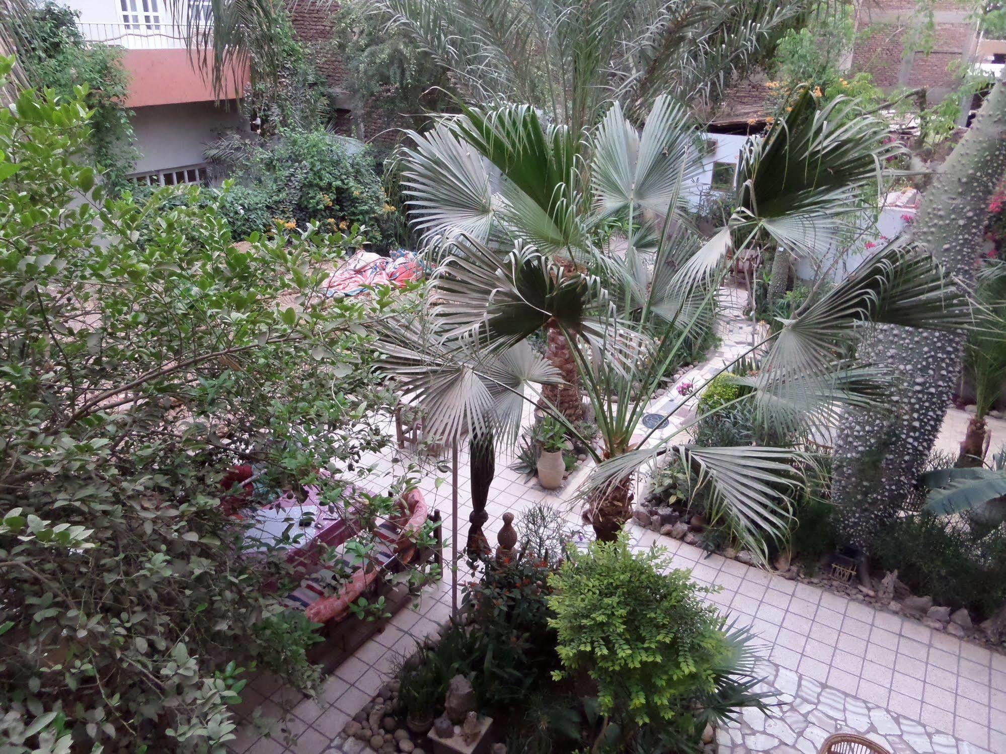 فندق آمون الأقصر المظهر الخارجي الصورة